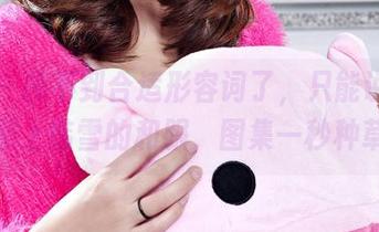 丽柜 – 找不到合适形容词了，只能说—原图配上韩雪的和服，图集一秒种草！